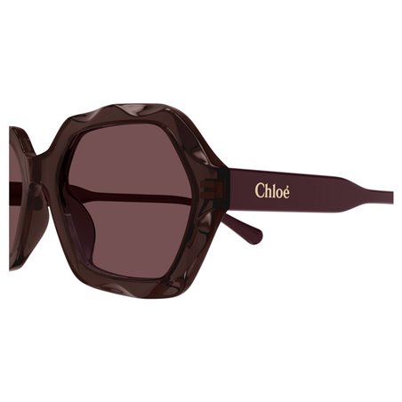 Chloé CH0227S 002