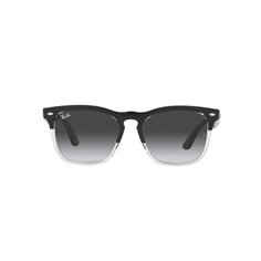 Ray-Ban STEVE RB4487 66308G 2