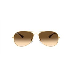 Ray-Ban COCKPIT RB3362 001/51 2