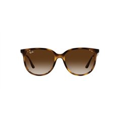 Ray-Ban RB4378 710/13 2