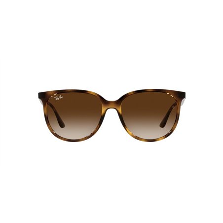 Ray-Ban RB4378 710/13