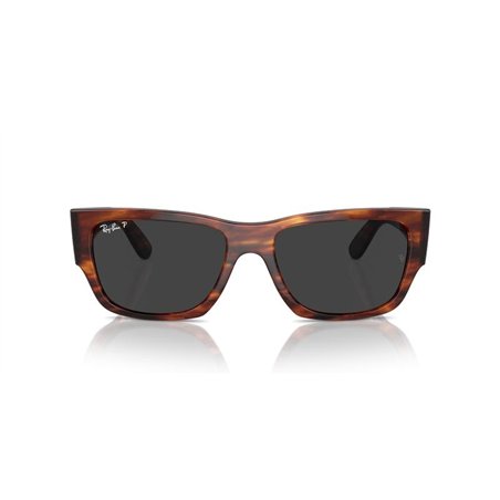 Ray-Ban CARLOS RB0947S 954/48