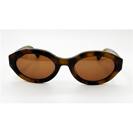 Wish Ocean WO 146 C-1